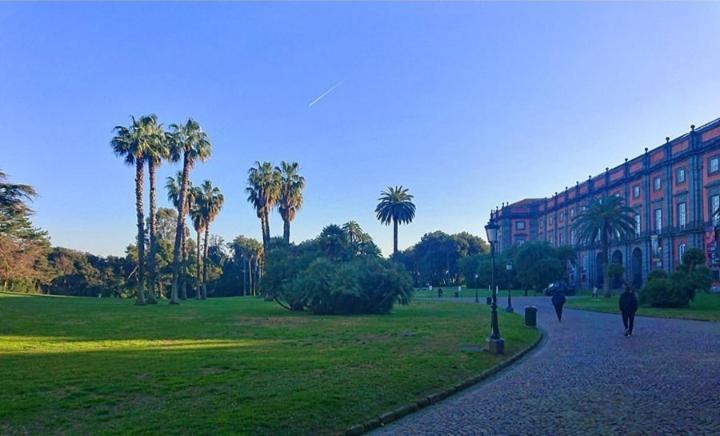 Chez Bois - Suite Apartment Capodimonte ナポリ エクステリア 写真