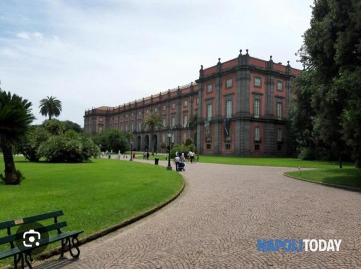Chez Bois - Suite Apartment Capodimonte ナポリ エクステリア 写真